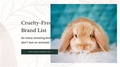 does dior test on animals 2024|is dior cruelty free 2023.